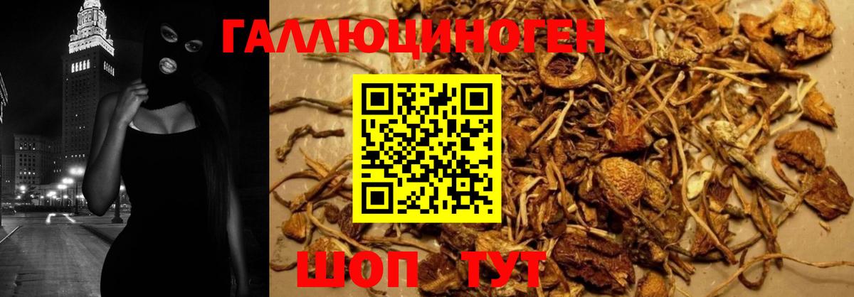 Галлюциногенные грибы GOLDEN TEACHER Мелеуз