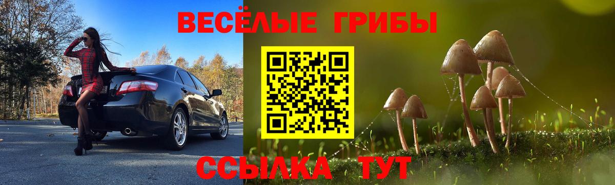 Галлюциногенные грибы мухоморы  Вход с VPN  Мелеуз 